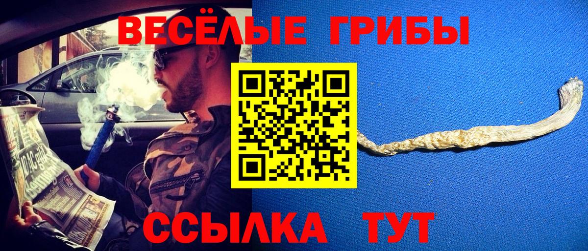 Галлюциногенные грибы Magic Shrooms Шахты