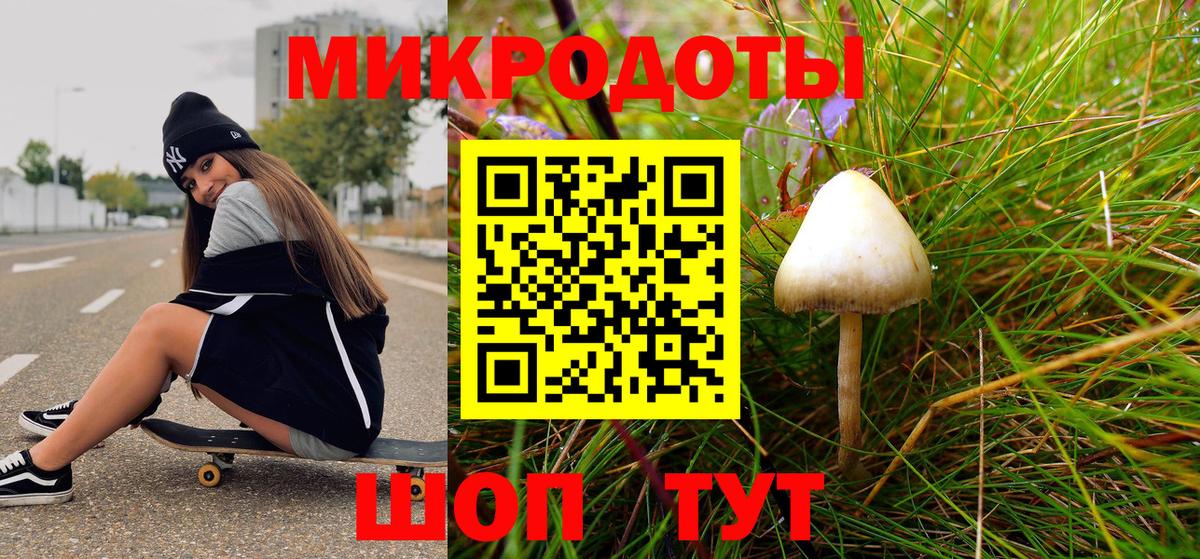 Шахты  Псилоцибиновые грибы мицелий  Вход с VPN 